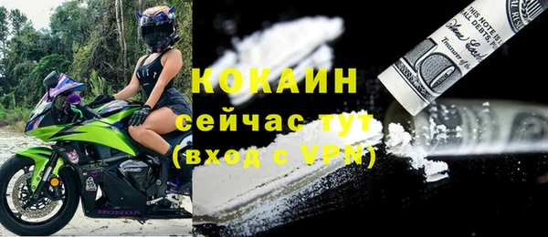 a pvp Горняк